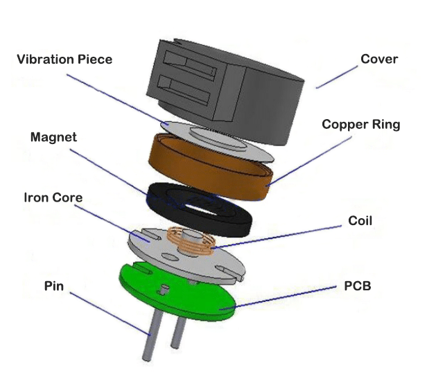 picture of magnetic transducer